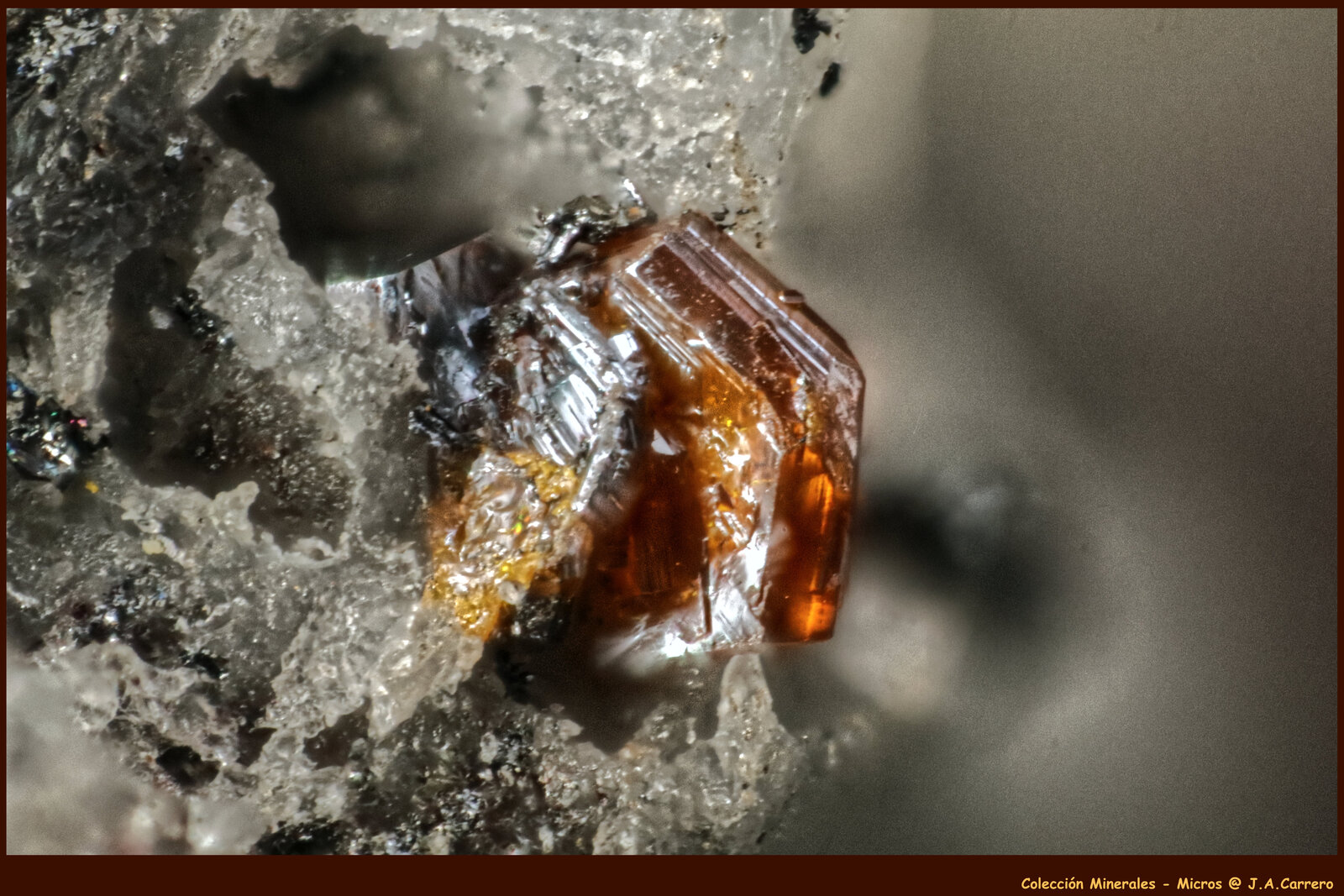 Xantoconita
FoV: 1 x 0,7 mm
(Autor: Jose Angel Carrero)