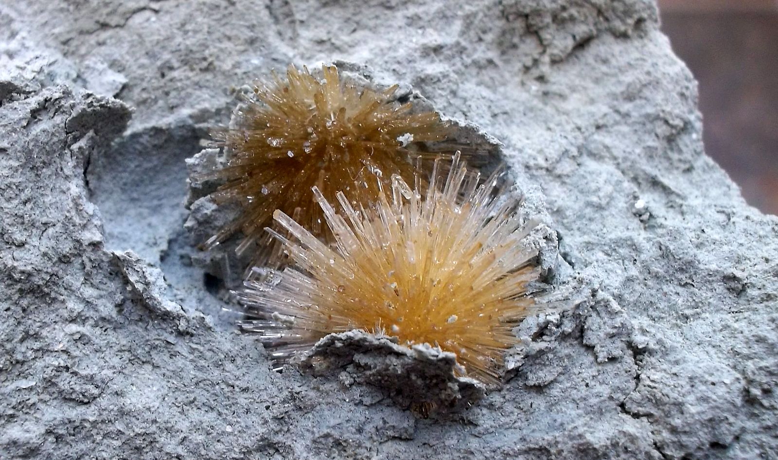 Aragonito
1,5 x 1,5 cm zona mineralizada.
(Autor: Cristalino)
