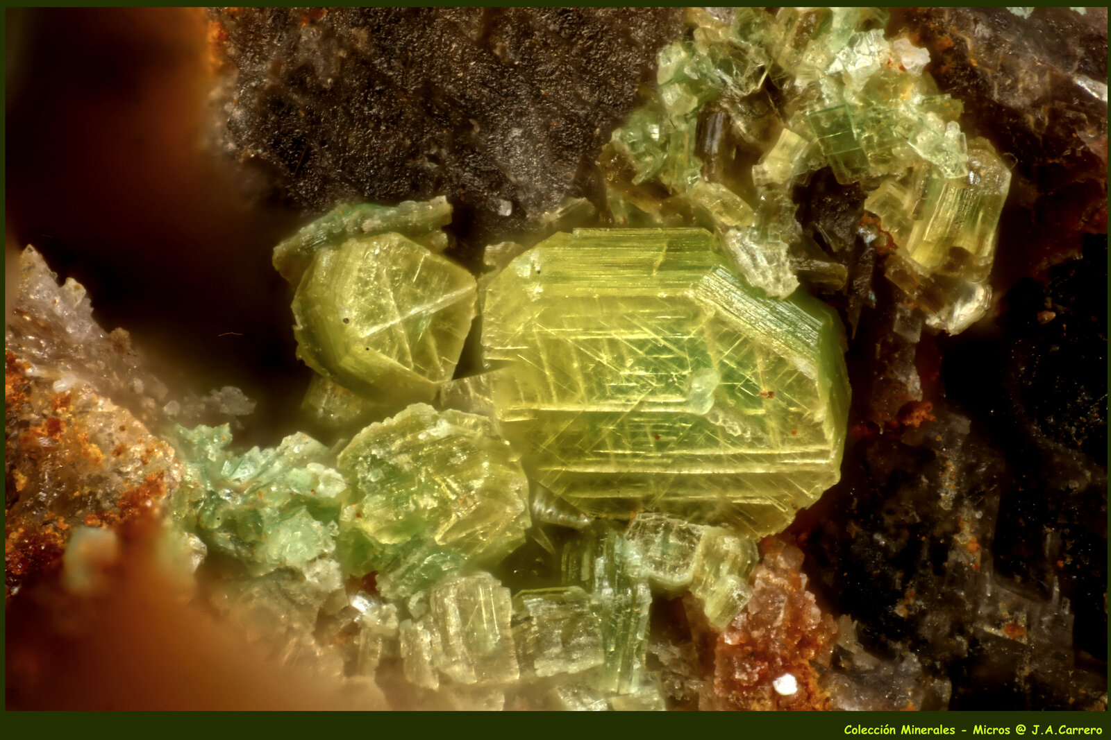 Autunita
FoV: 1,5 x 1 mm
(Autor: Jose Angel Carrero)
