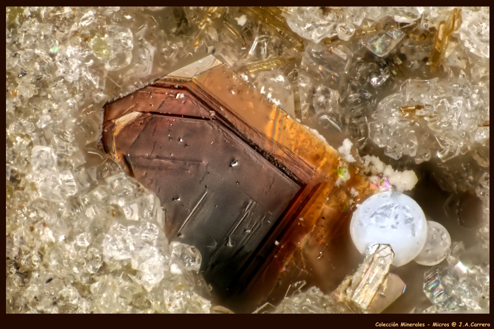 Fluoroflogopita, Enstatita
Canteras de La Aljorra, Cerro de la Cabezuela (Volcán de la Aljorra), La Aljorra, Cartagena, Comarca Campo de Cartagena, Región de Murcia (Murcia), España
FoV: 1,5 x 0.9 mm
(Autor: Jose Angel Carrero)