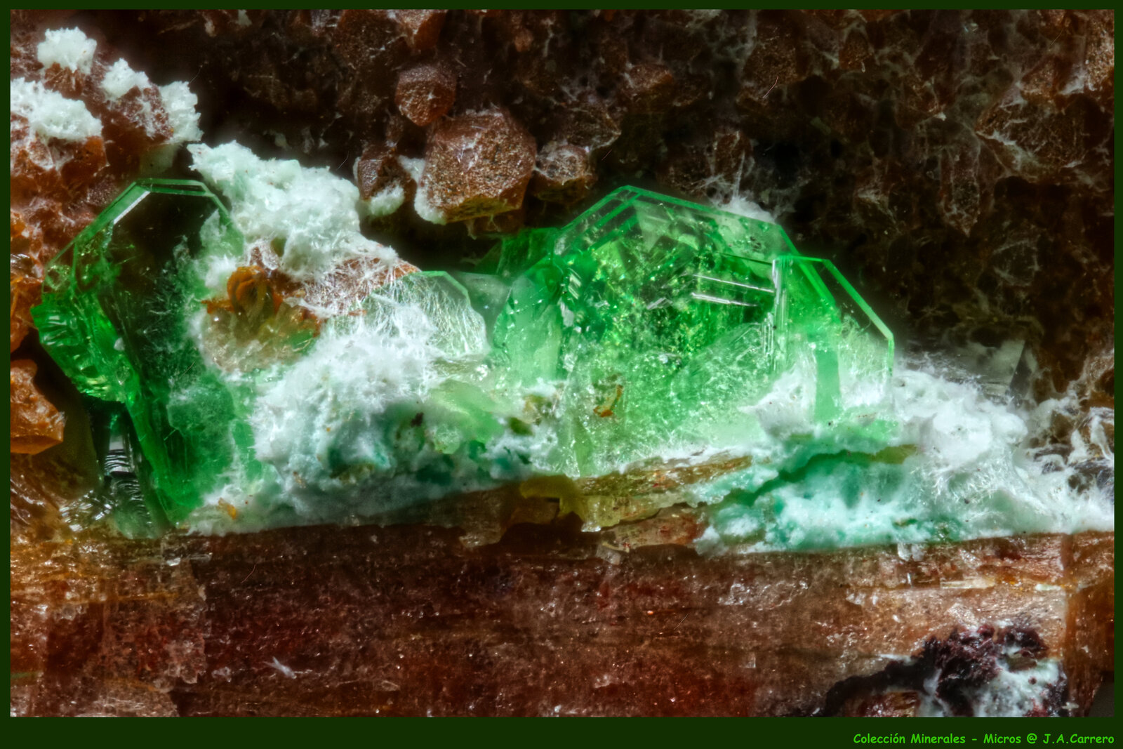 Zeunerita, Mixita
FoV:  3 x 2 mm
(Autor: Jose Angel Carrero)