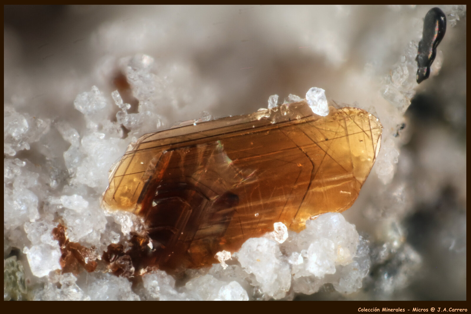 Fluoroflogopita Ilmenita
FoV: 1,4 x 0,9 mm
(Autor: Jose Angel Carrero)