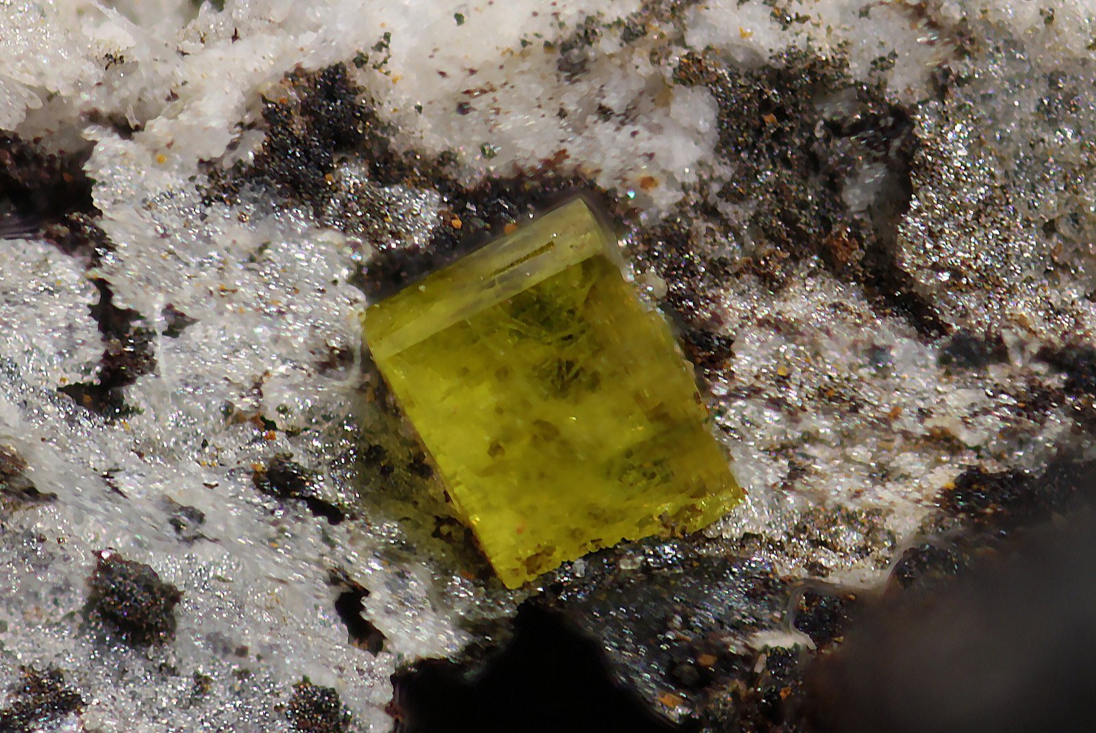Piromorfita
Cristal 1 mm
(Autor: Jorgina-Agusti-Màrius)