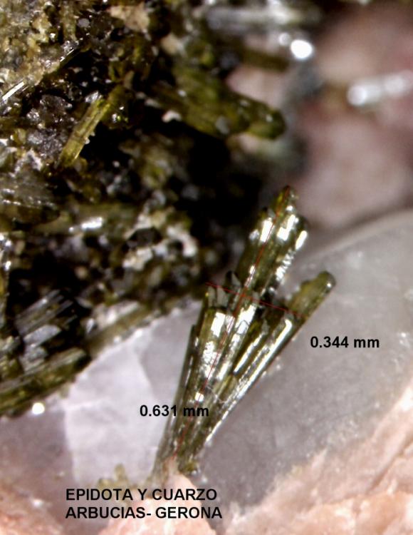 Epidota y Cuarzo
0.484 x 0.631 x 0.125 mm.
(Autor: Jesus Franquesa Baucells)