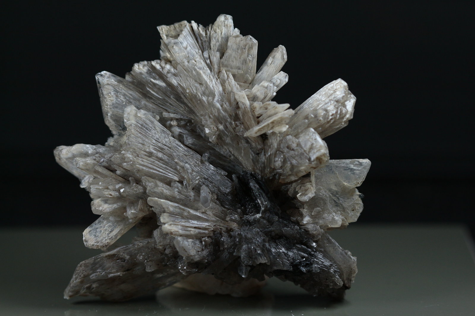 Yeso
6 x 4 cm
(Autor: Ángel Rodríguez Benavent)