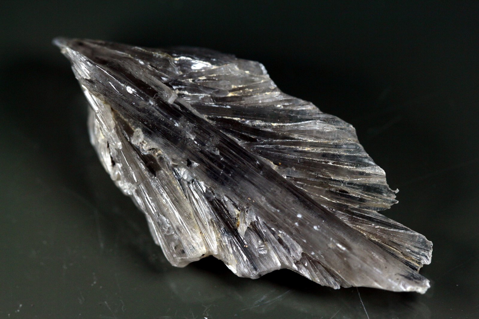 Yeso
3.5 x 2 cm
(Autor: Ángel Rodríguez Benavent)