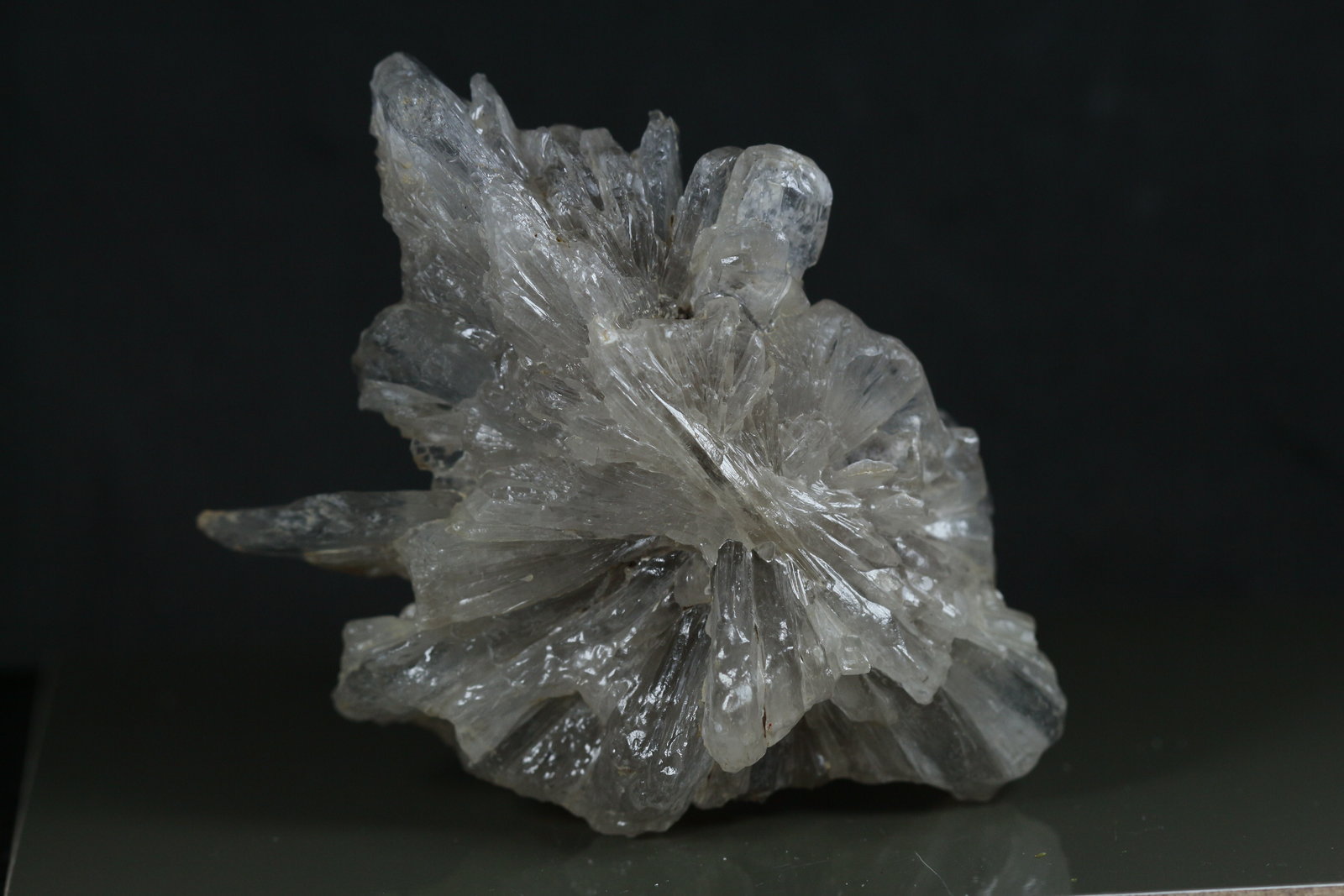 Yeso
6 x 4 cm
(Autor: Ángel Rodríguez Benavent)
