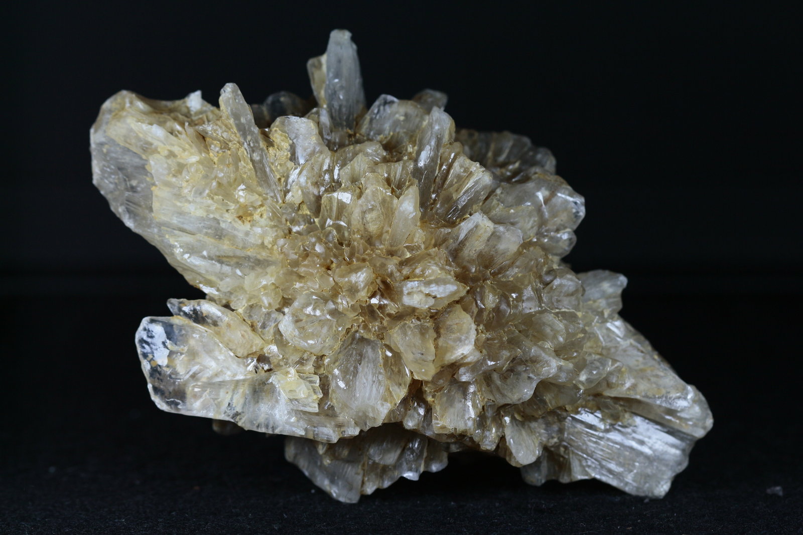 Yeso
7.5 x 3.5 cm
(Autor: Ángel Rodríguez Benavent)