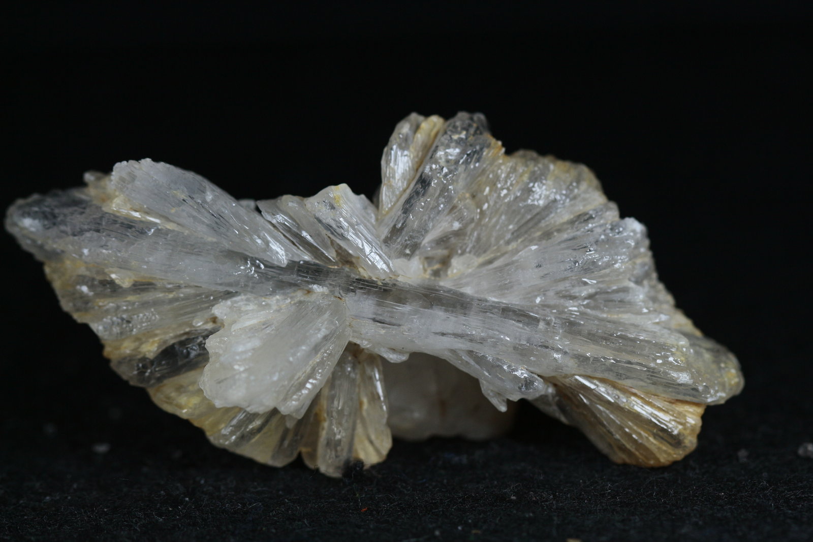 Yeso
7.5  x 4 cm
(Autor: Ángel Rodríguez Benavent)