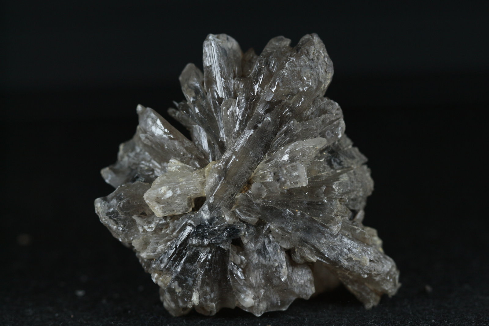 Yeso
5 x 4 cm
(Autor: Ángel Rodríguez Benavent)