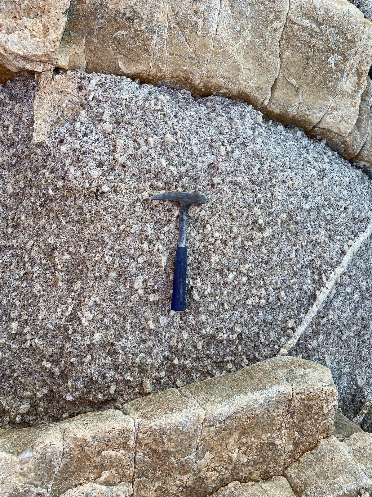 Granito, con fenocristales, aplitas
(Autor: Emilio Téllez)