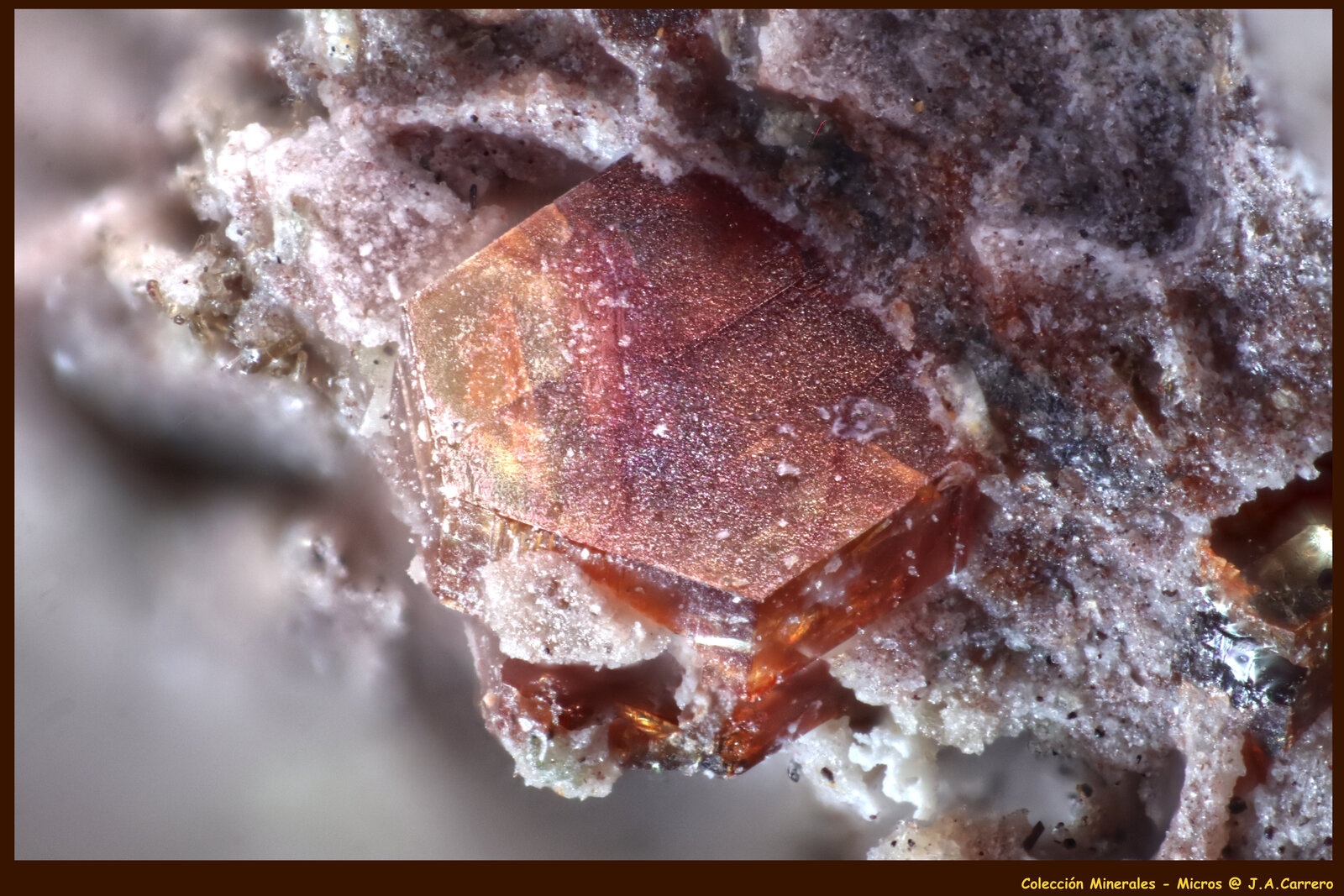 Roedderita
FoV: 2,1 x 1,4 mm
(Autor: Jose Angel Carrero)