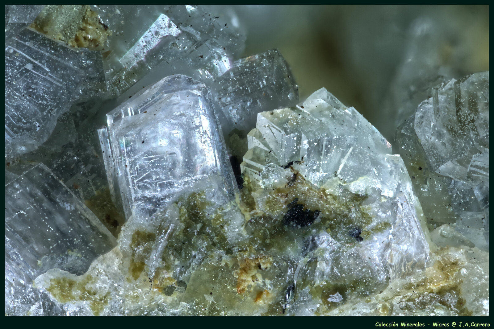Clinoptilolita
FoV: 2,5 x 1,8 mm
(Autor: Jose Angel Carrero)