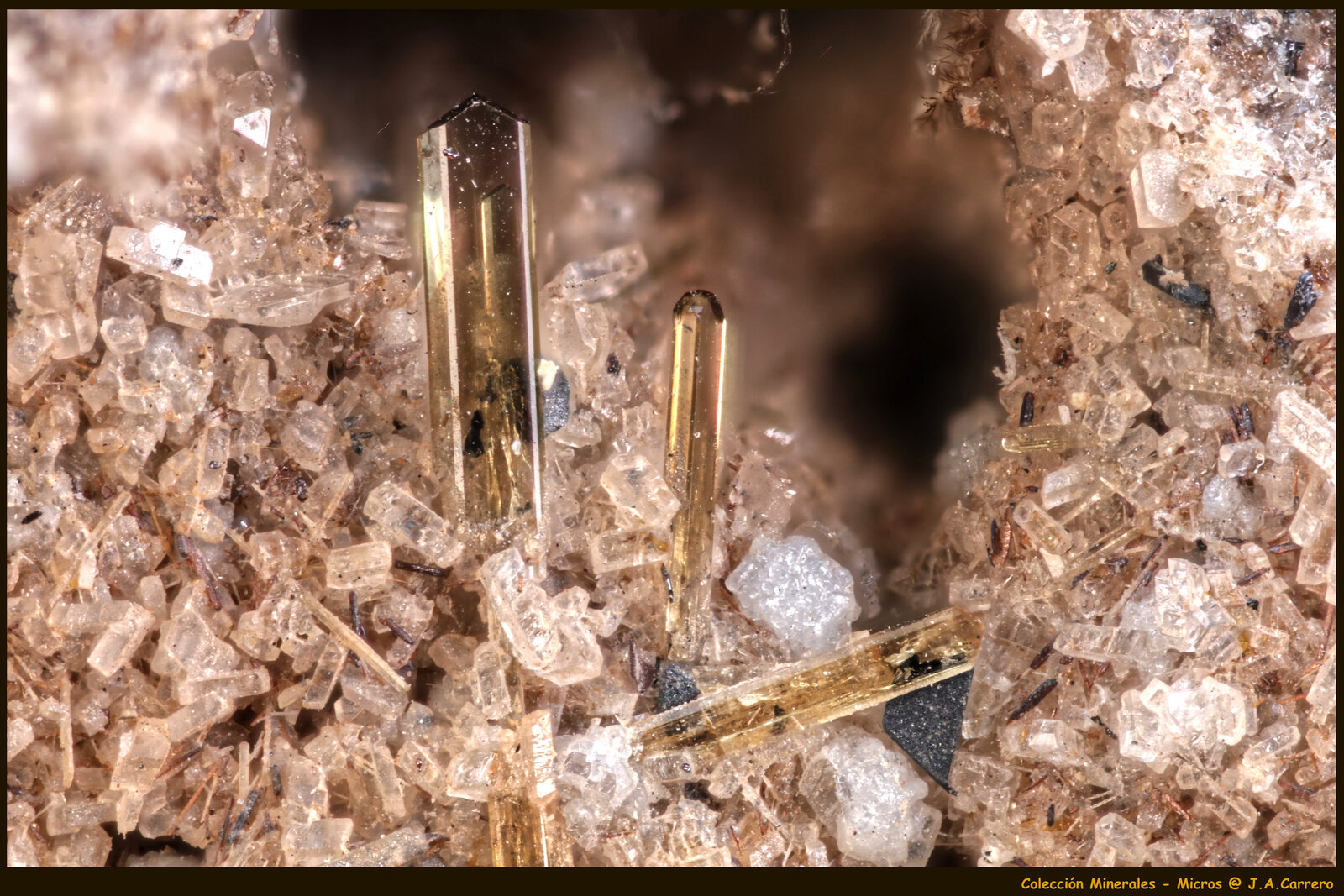 Enstatita, Sanidina
Canteras de La Aljorra, Cerro de la Cabezuela (Volcán de la Aljorra), La Aljorra, Cartagena, Comarca Campo de Cartagena, Región de Murcia (Murcia), España
FoV: 3 x 2 mm
(Autor: Jose Angel Carrero)