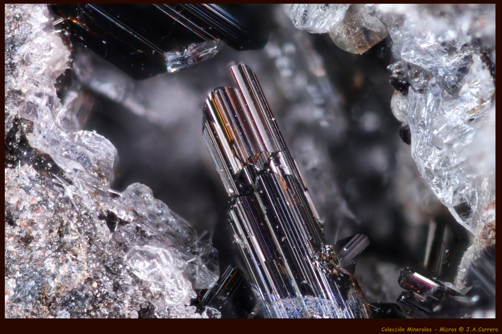 Ferri-kaersutita
FoV: 3 x 2 mm
(Autor: Jose Angel Carrero)