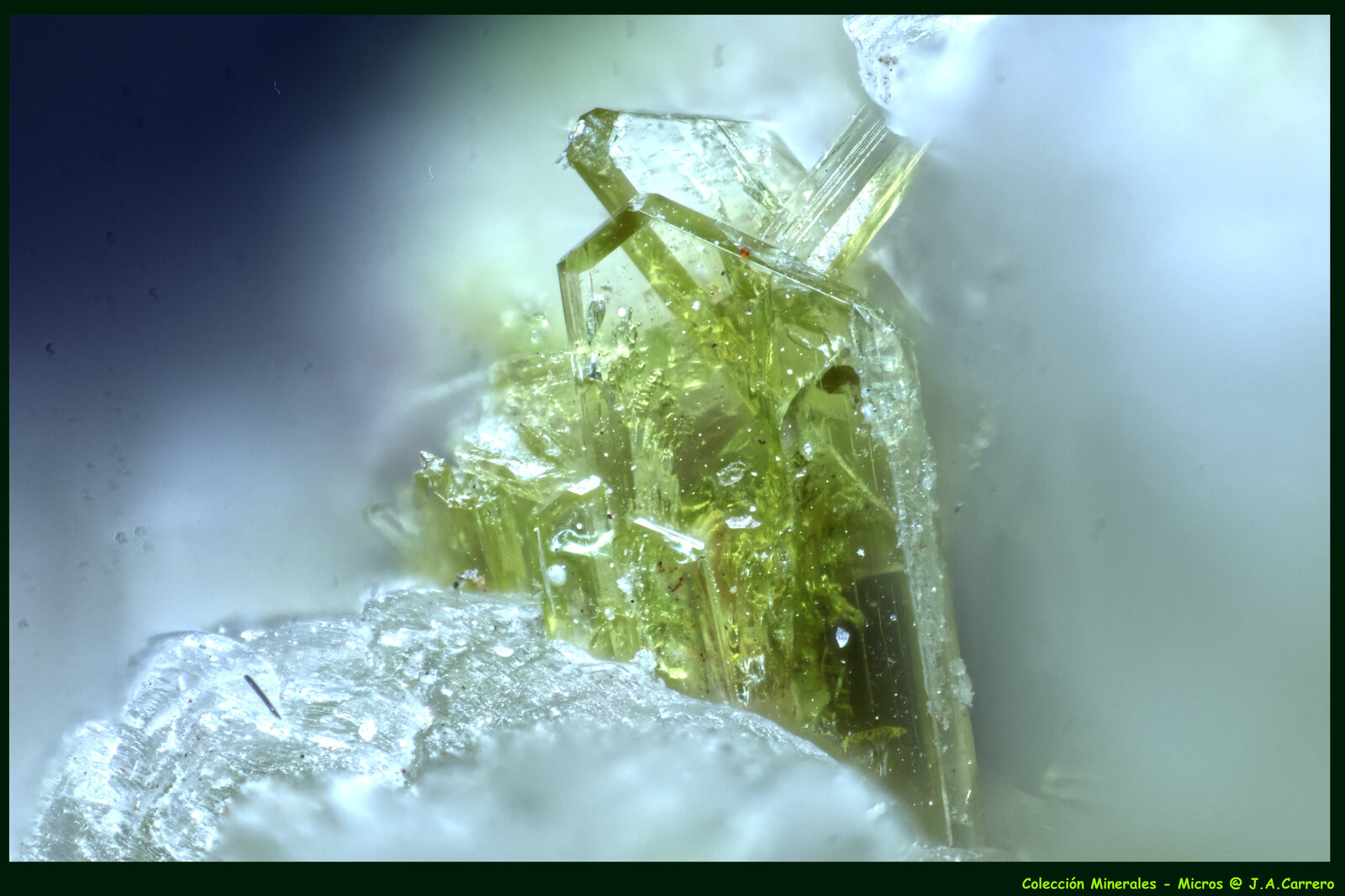 Fluoro-richterita
FoV: 2,5 x 1,8 mm
(Autor: Jose Angel Carrero)