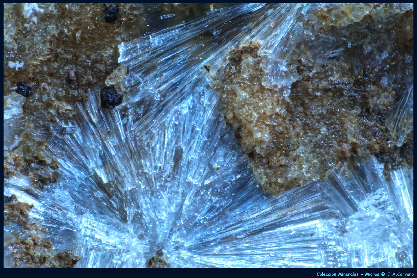 Fluorwavellita
Na Zoubku, Křeč, Pelhřimov, Región Vysočina, Bohemia, República Checa
FoV: 3 x 2 mm
(Autor: Jose Angel Carrero)