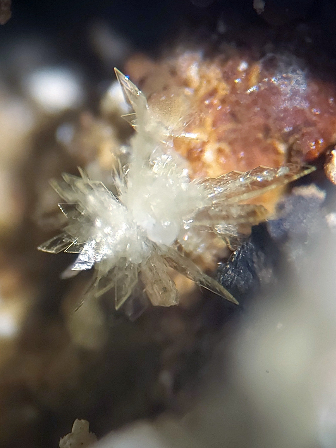 Montgomeryita
CV 3x4 mm
(Autor: Joan Niella)
