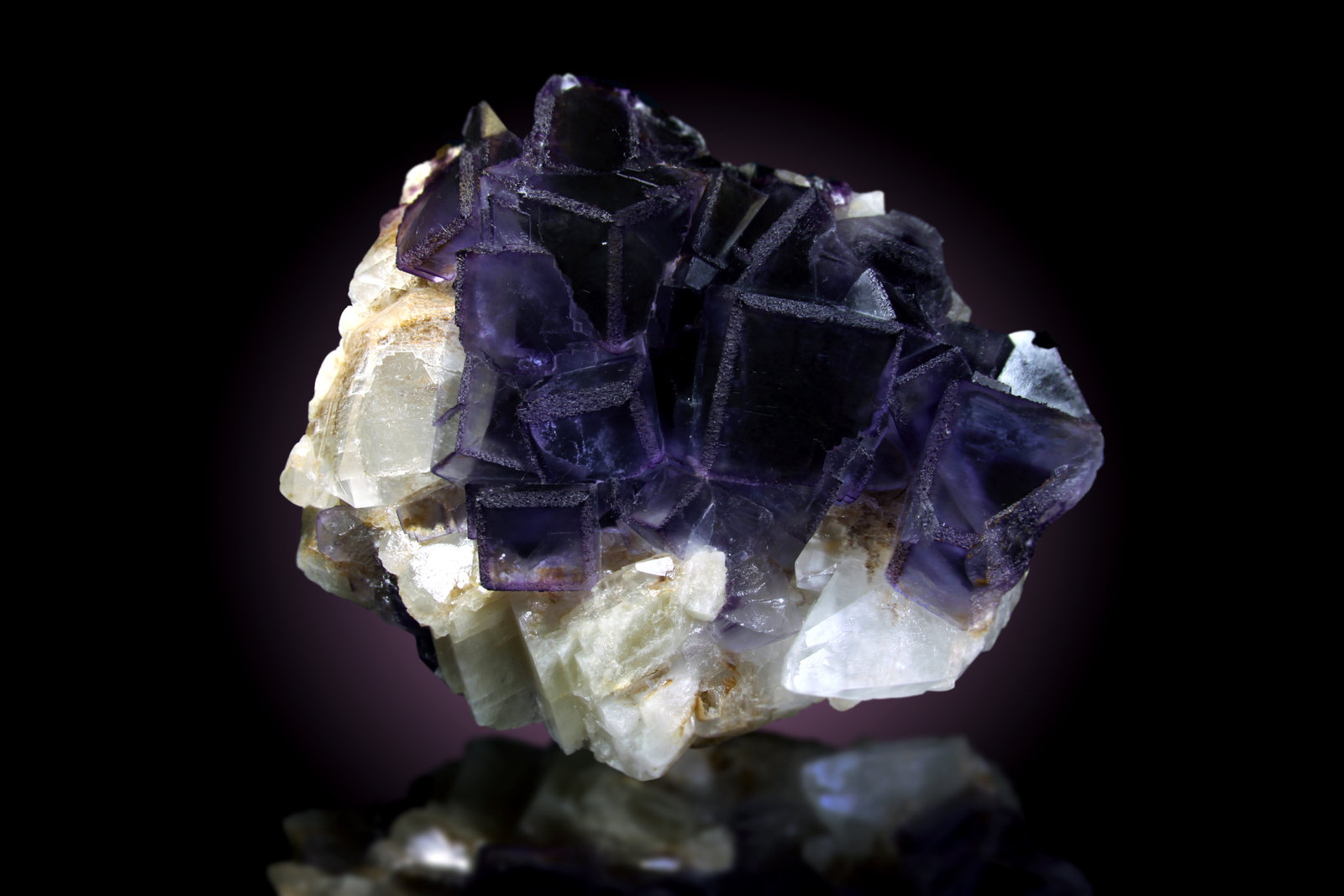 Fluorita sobre Calcita
17.5 x 14.5cm, cristales hasta 35mm de arista
(Autor: Raul Vancouver)