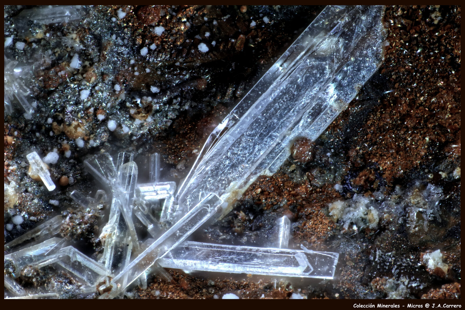 Laurionita - Paralaurionita
FoV: 2 x 1,4 mm
(Autor: Jose Angel Carrero)