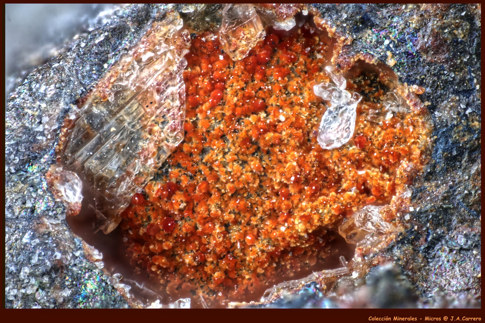 Ludlockita
Fundición La Cruz, Linares, Comarca Sierra  Morena, Jaén, Andalucía, España
FoV: 2 x 1,3 mm
(Autor: Jose Angel Carrero)