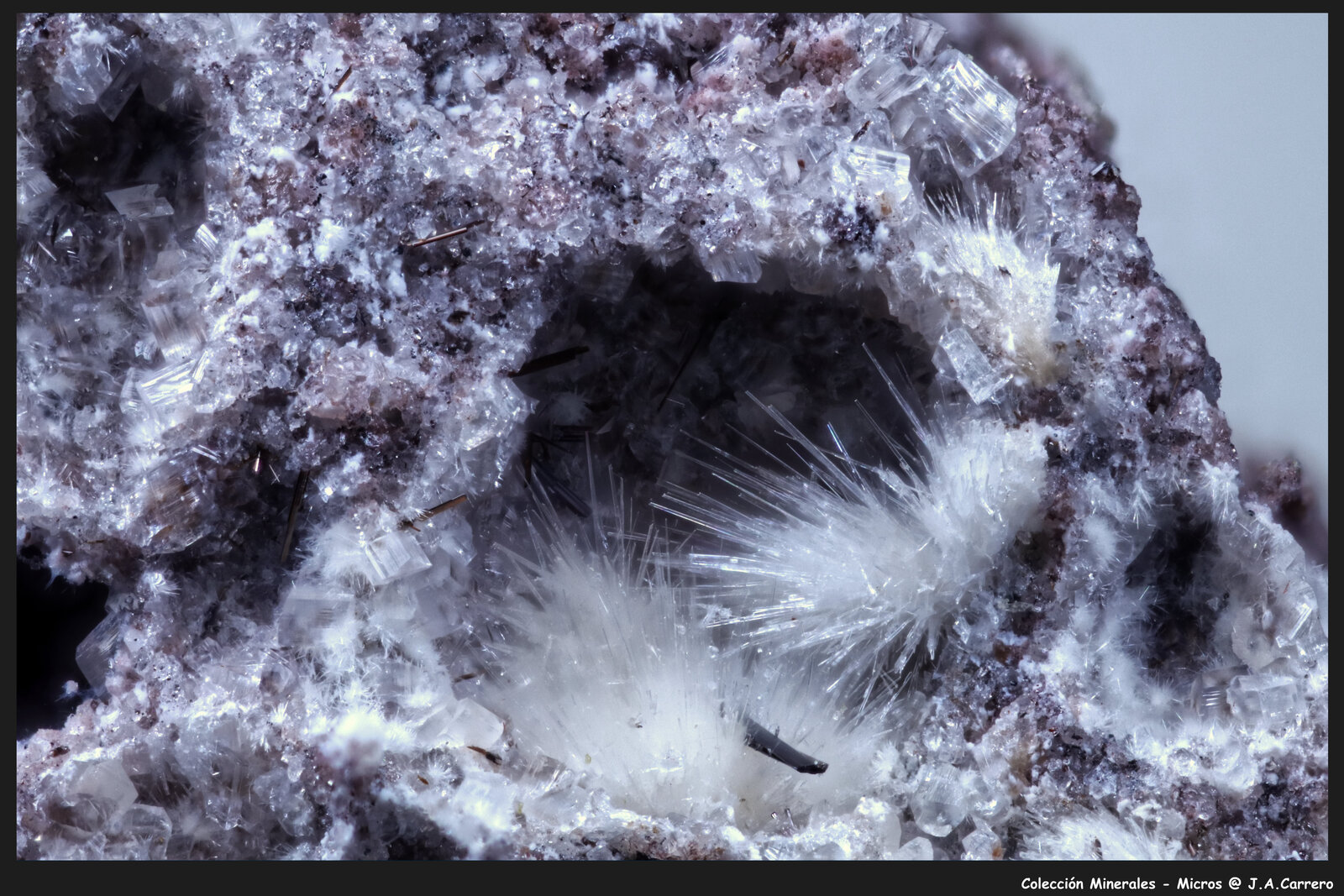 Mullita
Emmelberg, Üdersdorf, Daun, Eifel, Rhineland-Palatinate/Rheinland-Pfalz, Germany
FoV: 2,5 x 1,8 mm
(Autor: Jose Angel Carrero)