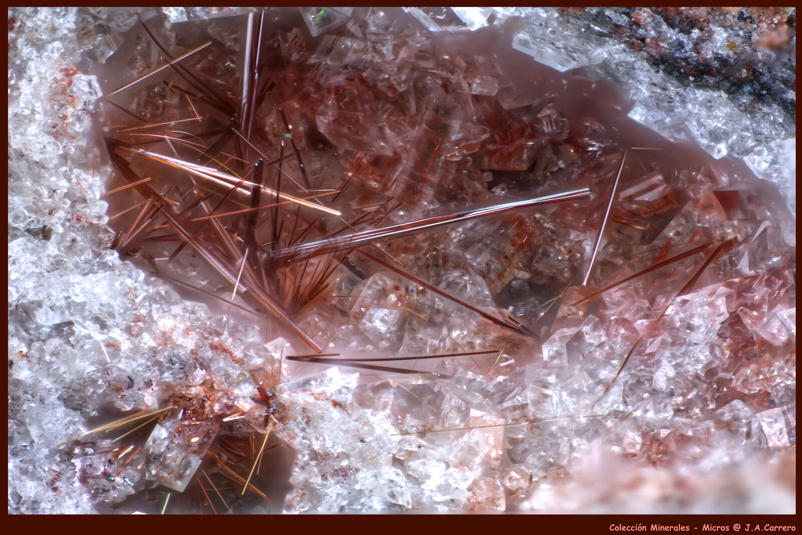 Pseudobrookita
Emmelberg, Üdersdorf, Daun, Eifel, Renania-Palatinado/Rheinland-Pfalz, Alemania
FoV: 2,8 x 2,2 mm
(Autor: Jose Angel Carrero)