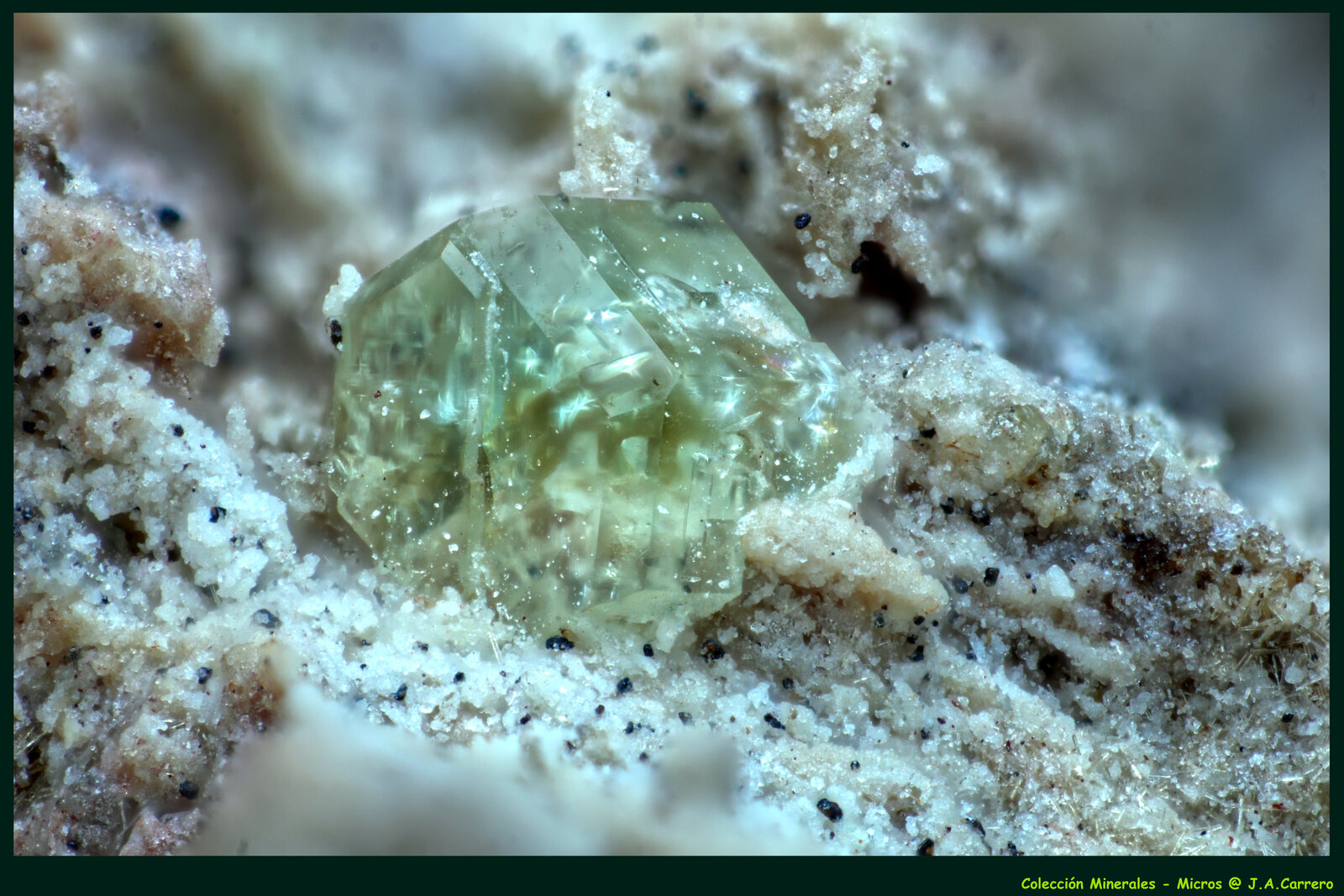 Roedderita
Cancarix Volcano, Sierra de las Cabras, Cancarix, Hellín, Comarca Campos de Hellín, Albacete, Castilla-La Mancha, Spain
FoV: 2,5 x 1,8 mm
(Autor: Jose Angel Carrero)