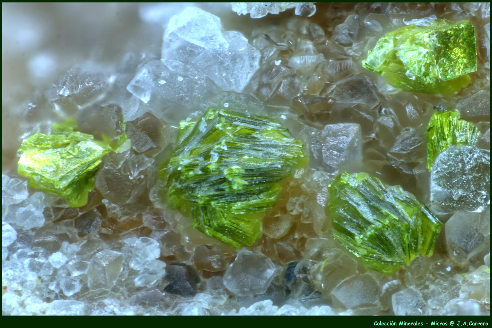 Tyuyamunita
Salnova Quarry, Saltrio, Varese Province, Lombardy, Italy
FoV: 3 x 2 mm
(Autor: Jose Angel Carrero)