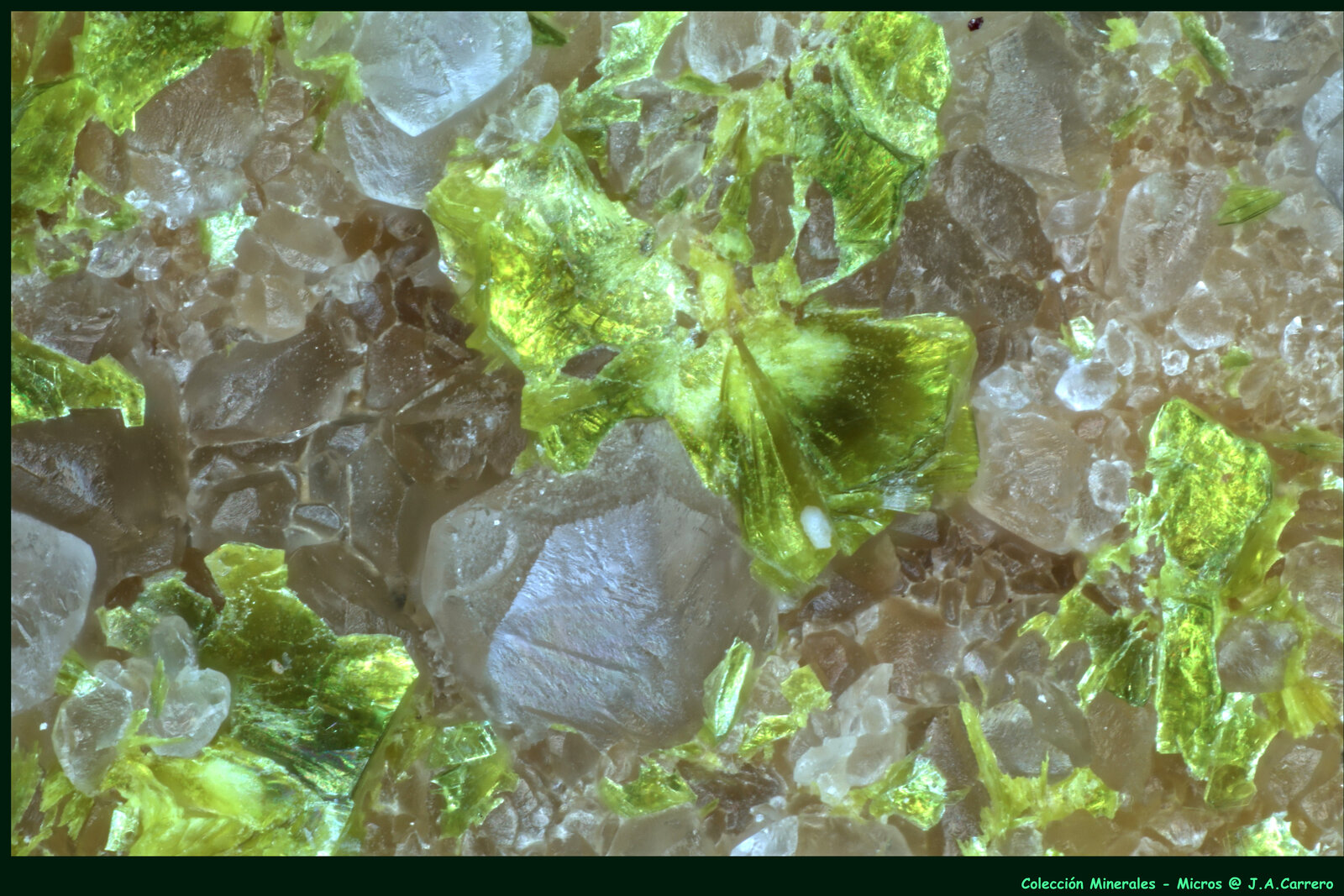 Tyuyamunita
Salnova Quarry, Saltrio, Varese Province, Lombardy, Italy
FoV: 2,5 x 1,8 mm
(Autor: Jose Angel Carrero)