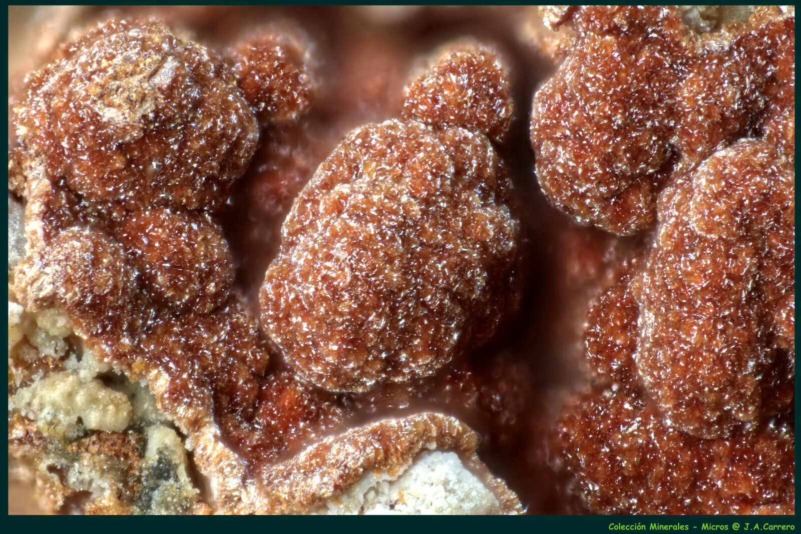 Wallkilldellita-(Fe)
Golosina Mine, Cala del Mal Paso, Cuevas del Almanzora, Comarca Levante Almeriense, Almería, Andalusia, Spain
FoV: 2,5 x 1,8 mm
(Autor: Jose Angel Carrero)