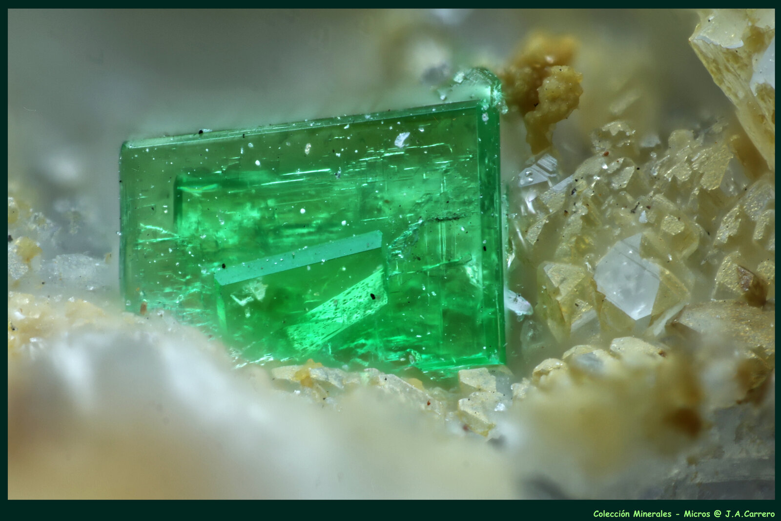 Zeunerita
Canteras Montoso, Bagnolo Piemonte, Provincia Cuneo, Piamonte (Piemonte), Italia
FoV: 1,6 x 1,1 mm
(Autor: Jose Angel Carrero)