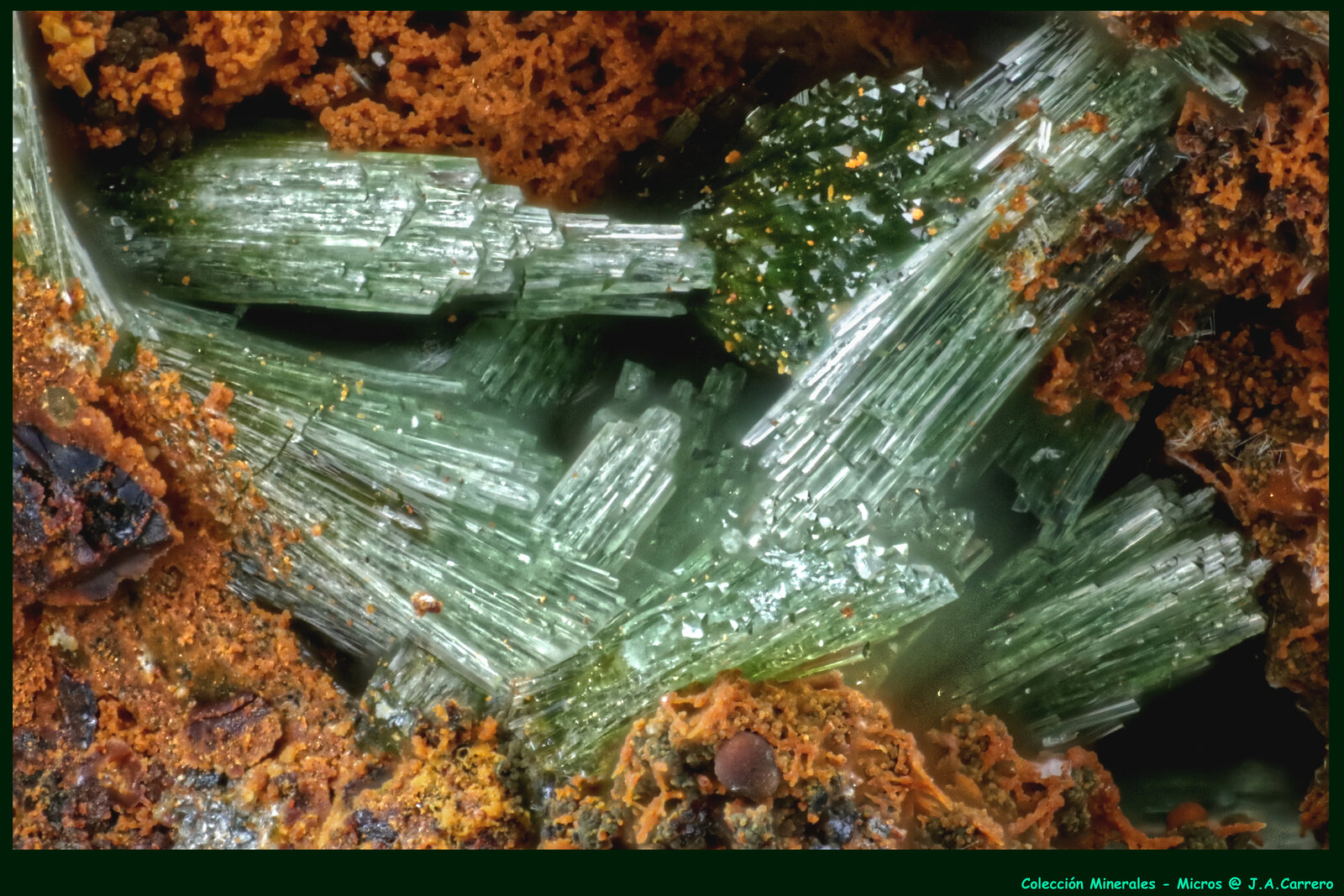 Adamita
Distrito minero Lavrion, Prefectura Attikí (Attica), Grecia
FoV: 2,5 x 1,8 mm
(Autor: Jose Angel Carrero)
