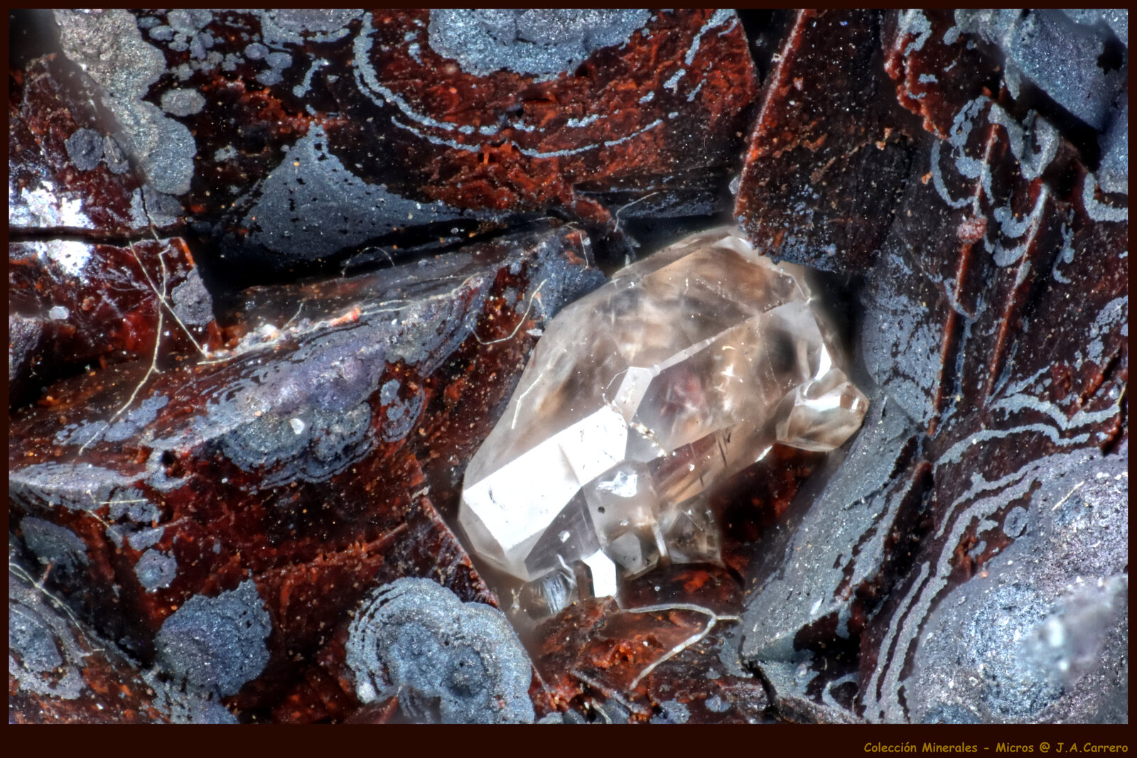 Anglesita
Lavrion, Lavrion Mining District, Attikí (Attica) Prefecture, Greece
FoV: 1,8 x 1,2 mm
(Autor: Jose Angel Carrero)