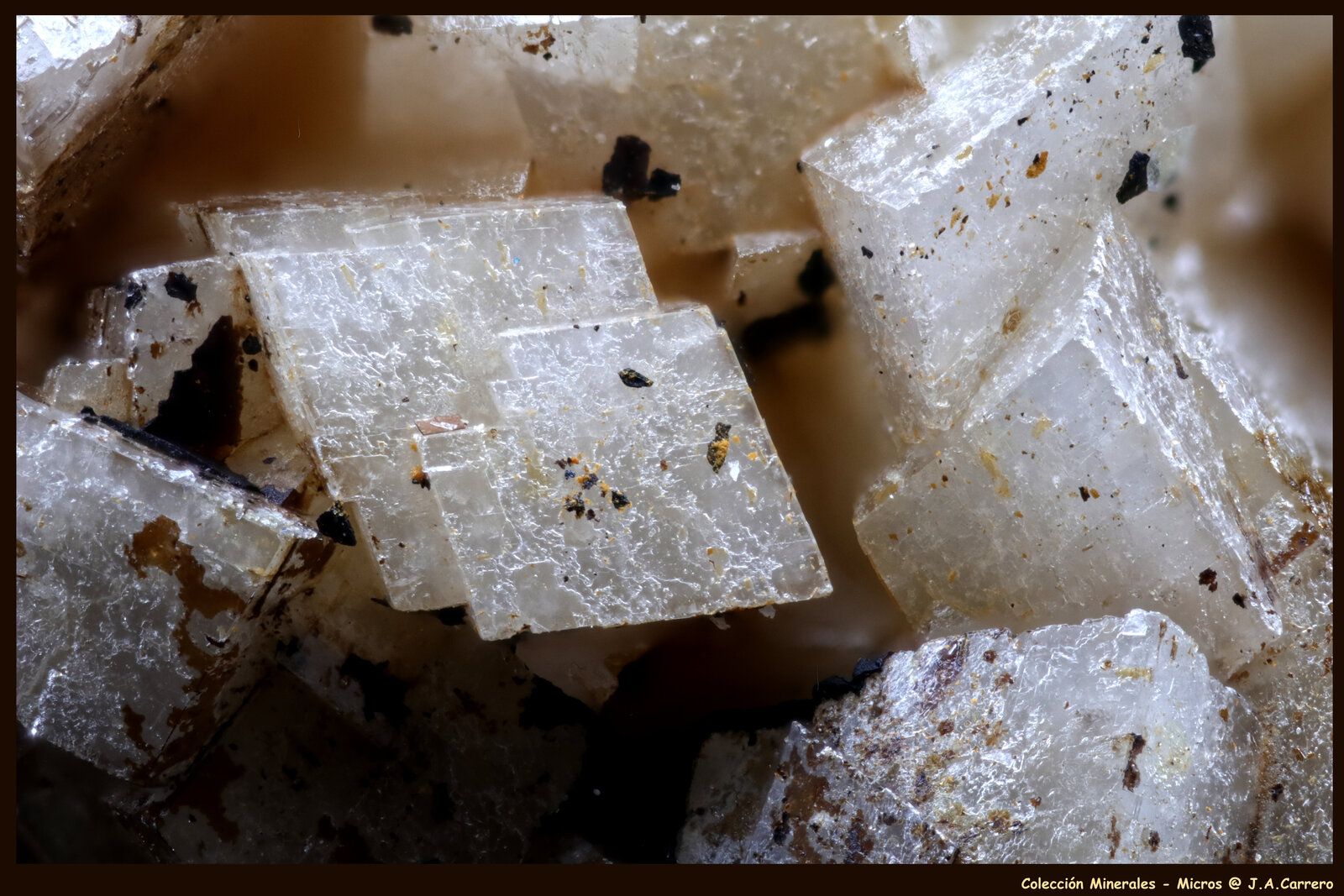 Dolomita (variedad ferrífera)
Mina Vereinigte Glückauf (Mina Glückauf), Velbert, Kreis Mettmann, Distrito Administrativo Düsseldorf, Renania del Norte-Westfalia/Nordrhein-Westfalen, Alemania
FoV: 3 x 2 mm
(Autor: Jose Angel Carrero)
