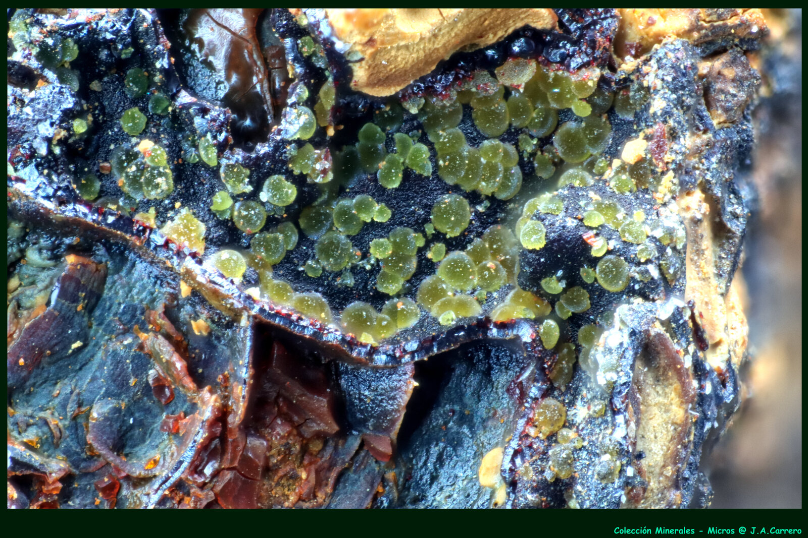 Atelestita
FoV: 1,5 x 1 mm
(Autor: Jose Angel Carrero)