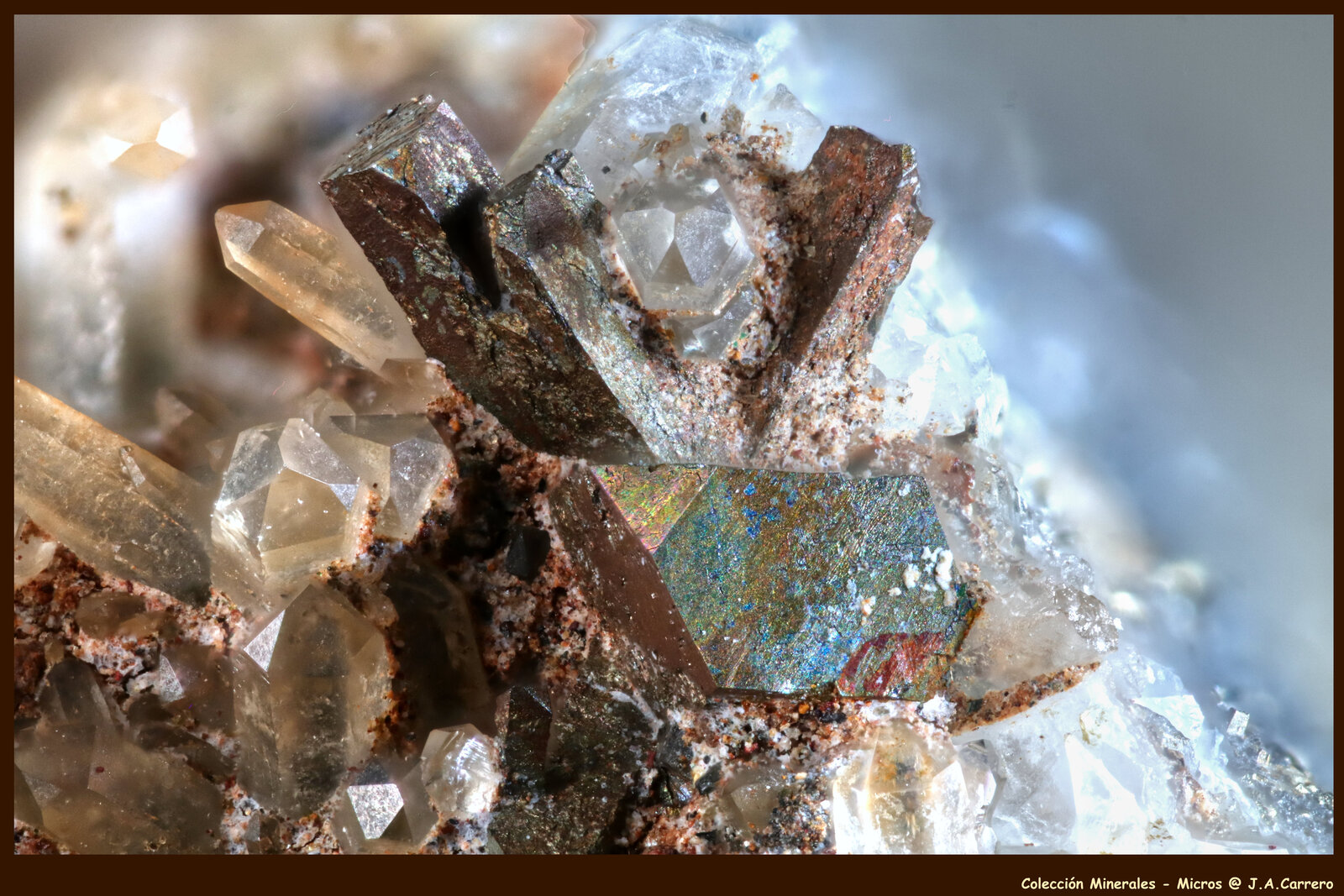 Arsenopirita, Cuarzo
Minas Kamariza, Agios Konstantinos, Distrito minero Lavrion, Prefectura Attikí (Attica), Grecia
FoV: 3 x 2 mm
(Autor: Jose Angel Carrero)
