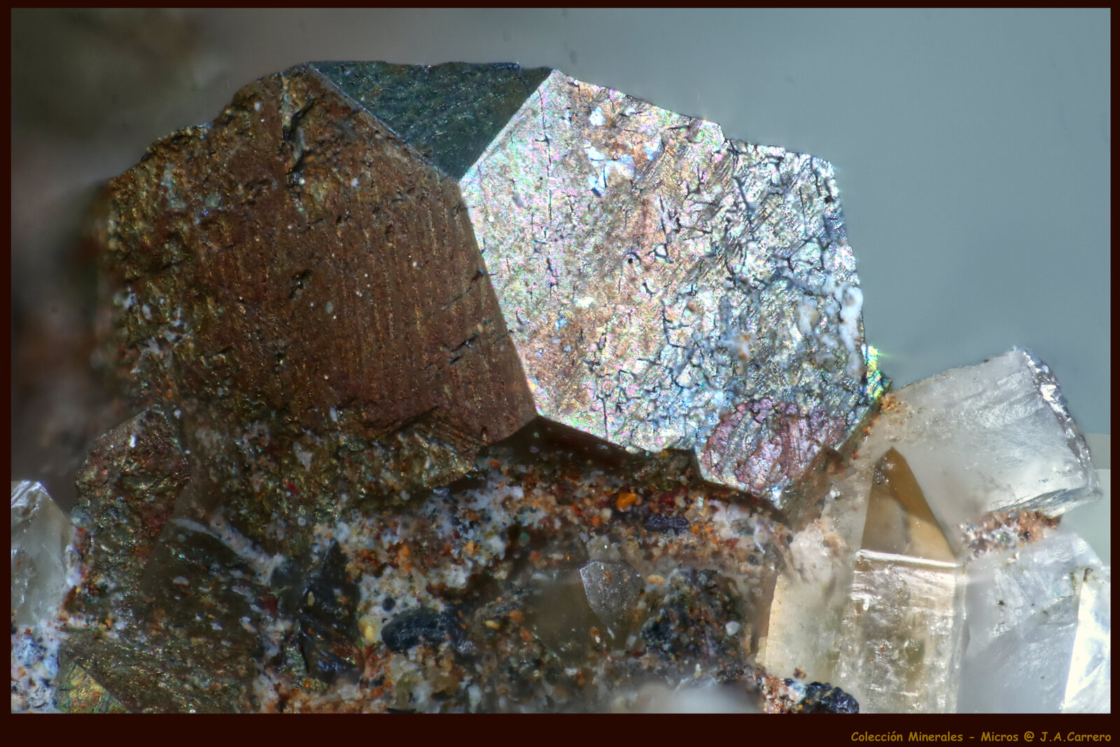 Arsenopirita
Kamariza Mines, Agios Konstantinos, Lavrion Mining District, Attikí (Attica) Prefecture, Greece
FoV: 1,5 x 0,9 mm
(Autor: Jose Angel Carrero)