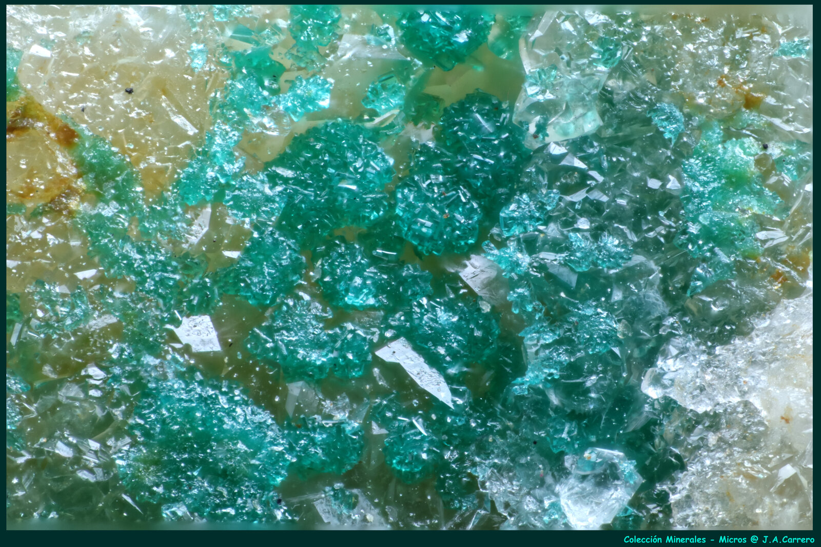 Bayldonita
Cantera Borstein, Reichenbach, Lautertal (Odenwald), Distrito Bergstraße, Darmstadt, Hesse/Hessen, Alemania
FoV: 2,2 x 1,5 mm
(Autor: Jose Angel Carrero)