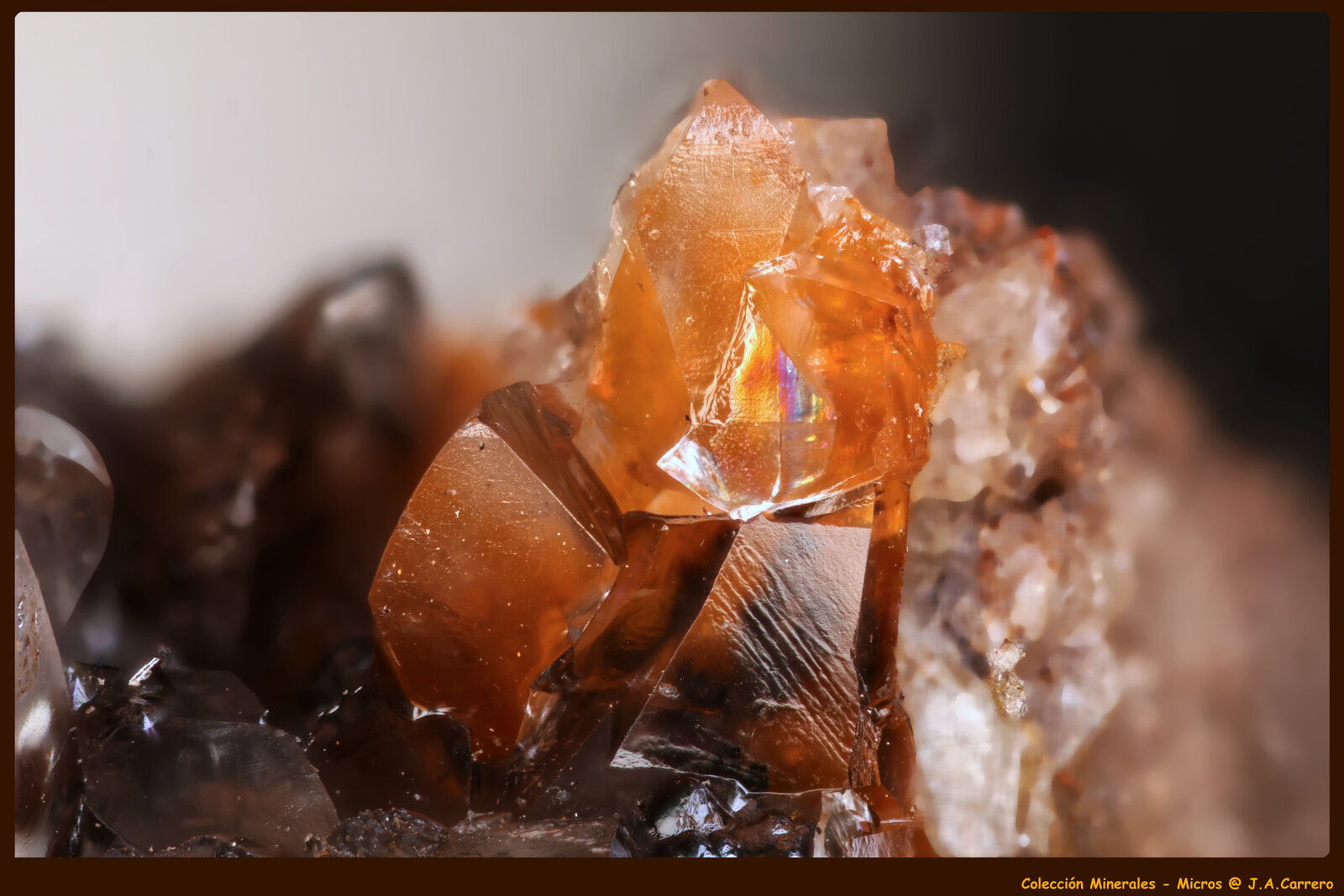 Calcita
Cantera Schmitt, Altenmittlau, Freigericht, Distrito Main-Kinzig-Kreis, Spessart, Hesse/Hessen, Alemania
FoV: 3 x 2 mm
(Autor: Jose Angel Carrero)