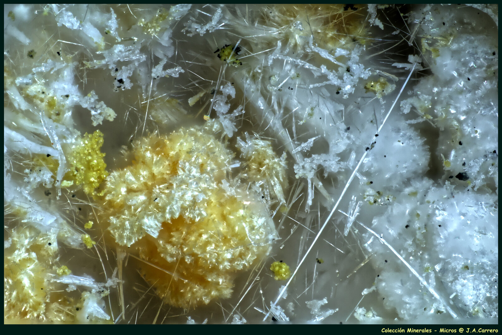 Copiapita, Halotriquita
Mina Anna, Alsdorf, Städteregion Aachen, Distrito administrativo Köln, Renania del Norte-Westfalia/Nordrhein-Westfalen, Alemania
FoV: 1,5 x 1 mm
(Autor: Jose Angel Carrero)
