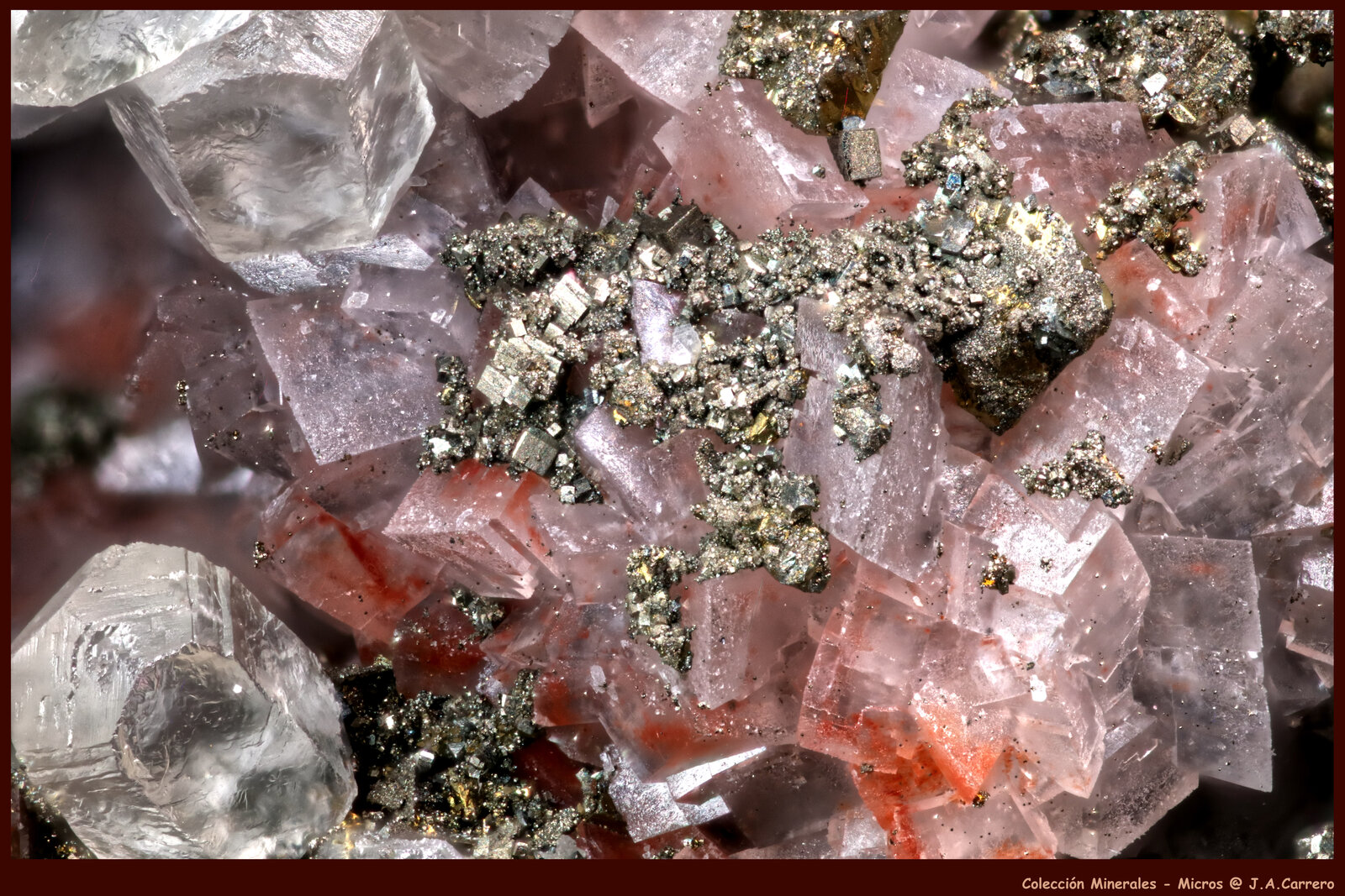 Dolomita, Pirita y Calcita
Cantera Calcite, Holzen, Arnsberg, Sauerland, Renania del Norte-Westfalia/Nordrhein-Westfalen, Alemania
FoV: 3 x 2 mm
(Autor: Jose Angel Carrero)
