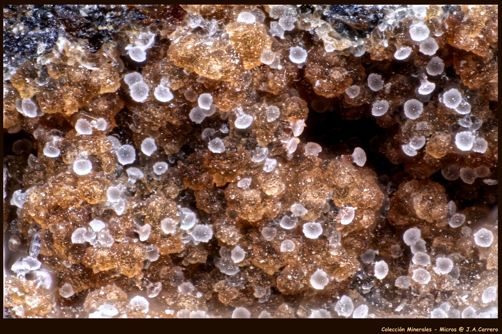 Offretita
FoV: 2 x 1,3 mm
(Autor: Jose Angel Carrero)