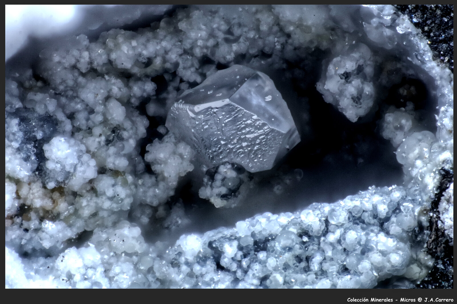 Fosgenita
Minas Lavrion, Distrito minero Lavrion, Prefectura Attikí (Attica), Grecia
FoV: 2,2 x 1,5 mm
(Autor: Jose Angel Carrero)