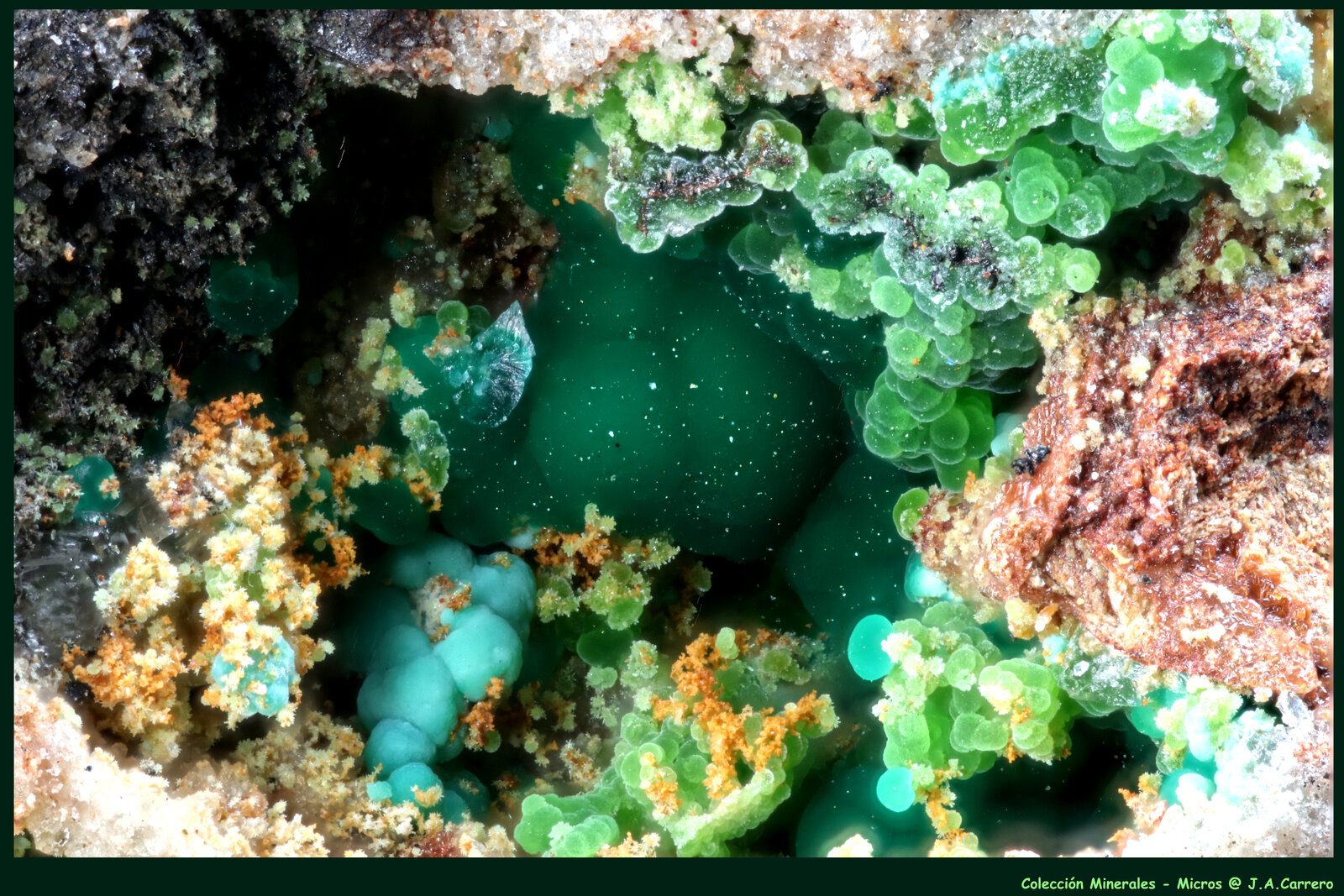 Glaucosferita
Mina Km-3, Lavrion, Distrito minero Lavrion, Prefectura Attikí (Attica), Grecia
FoV: 3 x 2 mm
(Autor: Jose Angel Carrero)