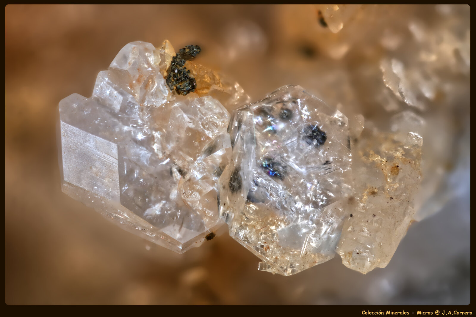 Harmotoma
Cantera Mannbühl, macizo volcánico Donnersberg, Kirchheimbolanden, Donnersbergkreis, Renania-Palatinado/Rheinland-Pfalz, Alemania
FoV: 3 x 2 mm
(Autor: Jose Angel Carrero)