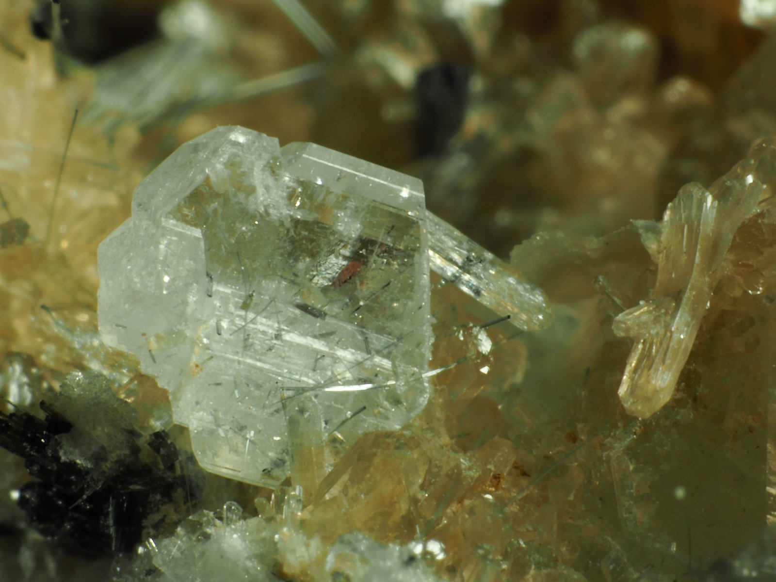 Albita, Stilbita-Ca (Estilbita-Ca), Turmalina (Grupo)
Longitud cristal  4 mm.
(Autor: Félix Marcos)