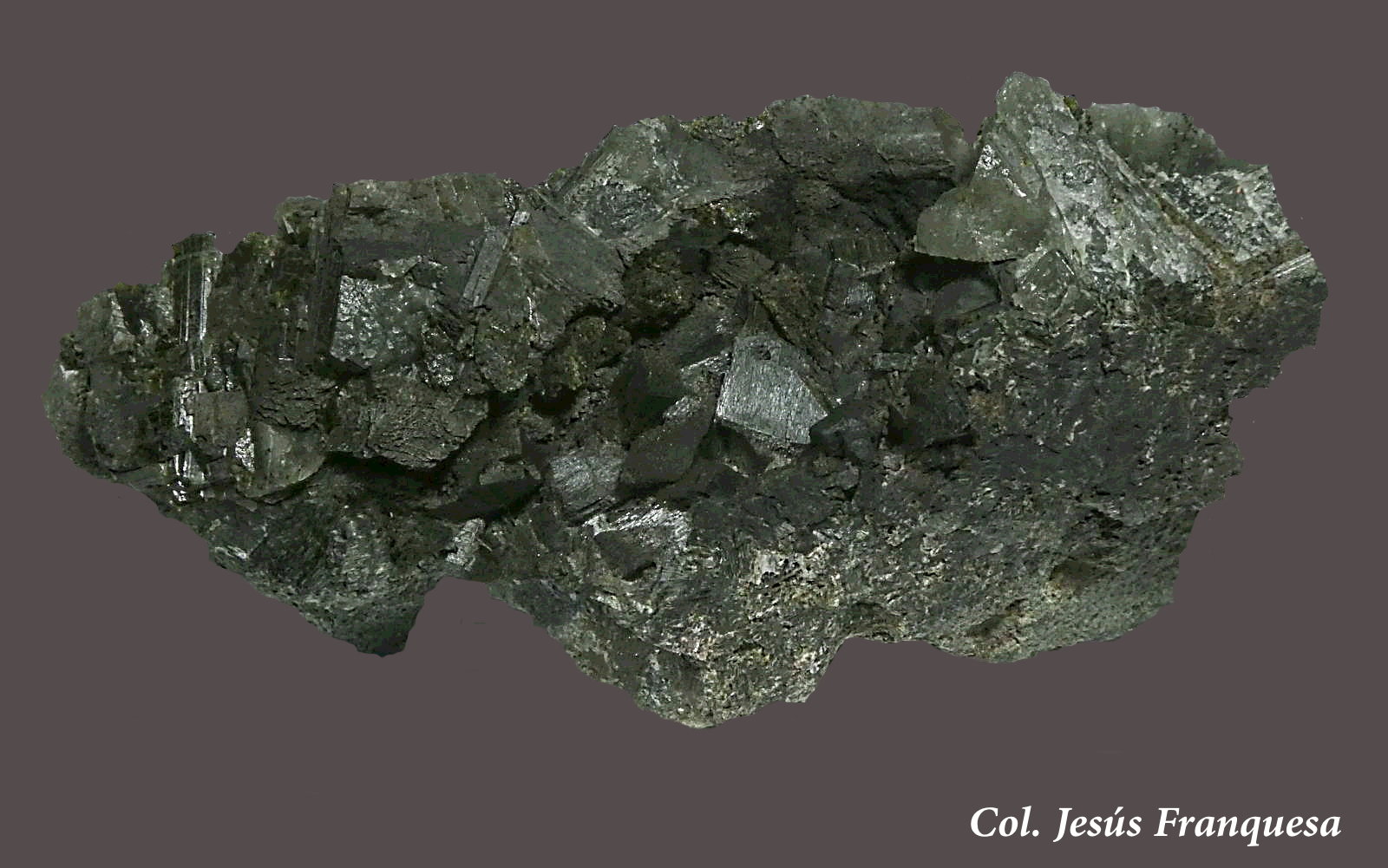 Actinolita y Cuarzo (variedad prasio).
65x60 mm
(Autor: Jesus Franquesa Baucells)