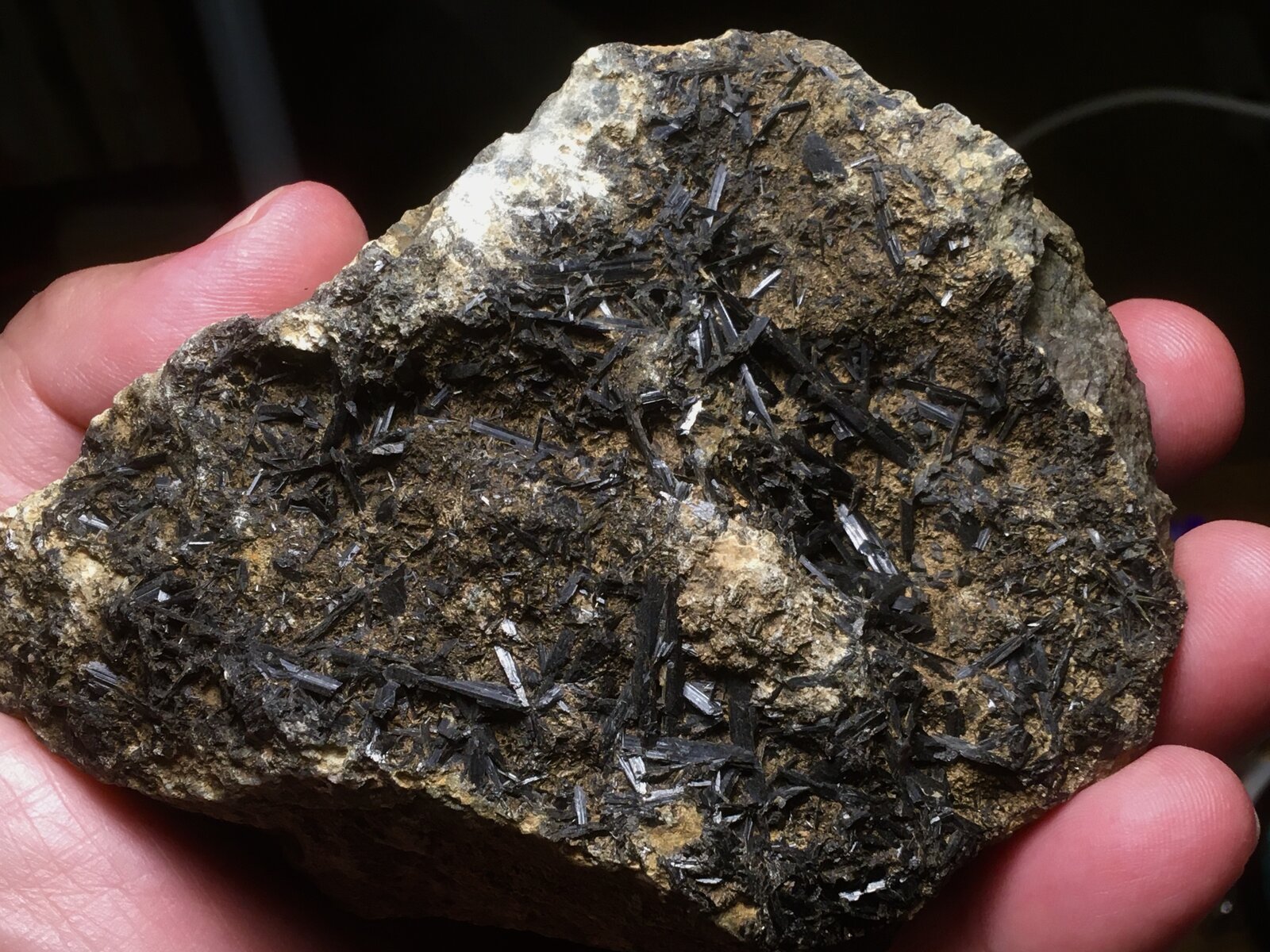 Actinolita
Ricote, Comarca Valle de Ricote, Región de Murcia (Murcia), España
12 x 8 cm
(Autor: Matias Raja)
