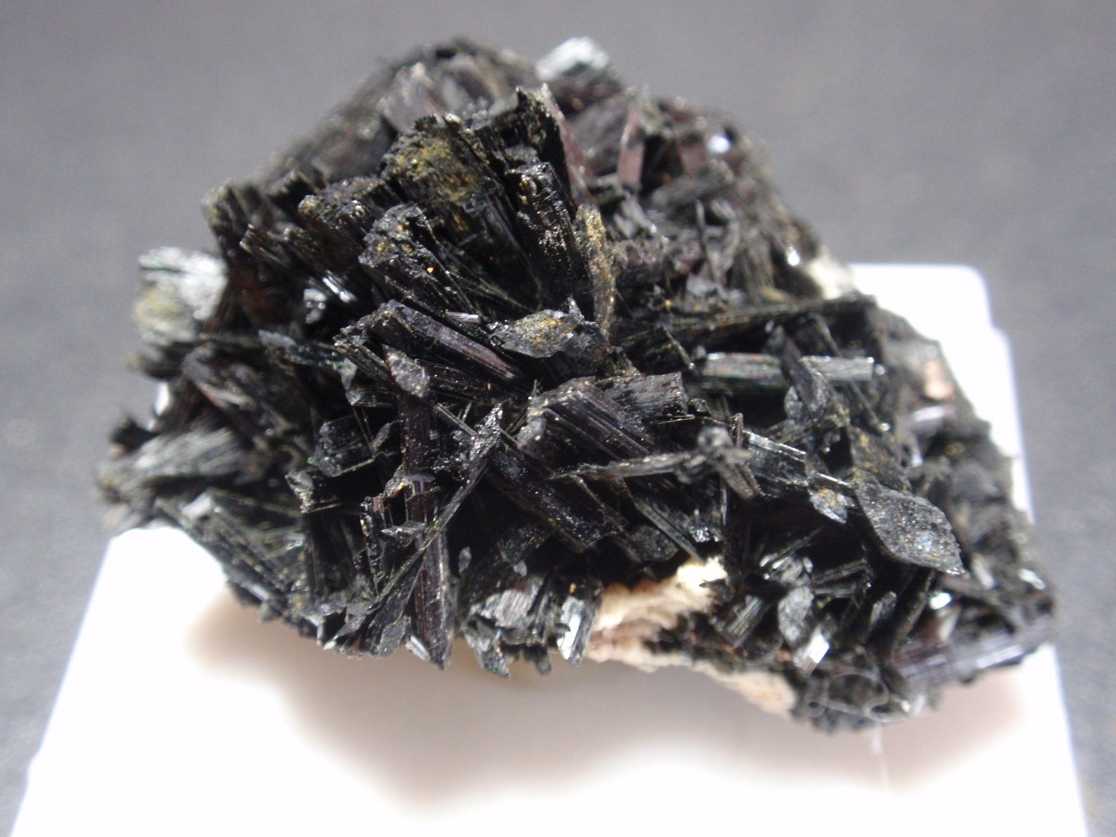 Ferro-actinolita
30x25 mm
(Autor: Ignacio)
